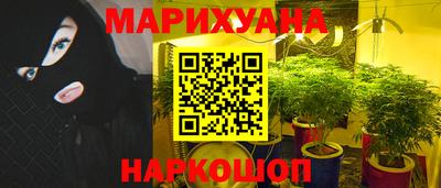 бошки Бердск