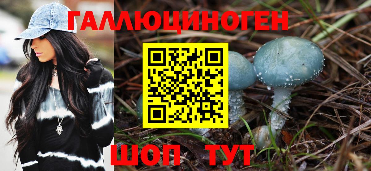 Псилоцибиновые грибы Cubensis  как найти наркотики  Верхняя Пышма  Вход с VPN  Псилоцибиновые грибы ЛСД 