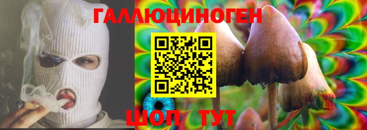 Галлюциногенные грибы прущие грибы Верхняя Пышма